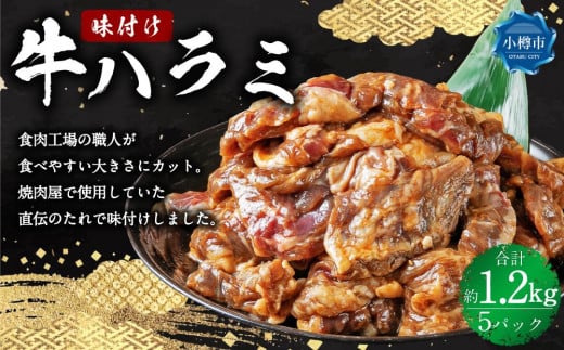  t n~ 5pbN(1.2kg)kCMs15000