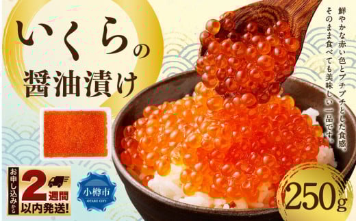 ̏ݖЂ 250gkCMs12000ECY