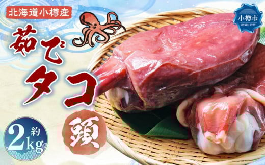 北海道小樽産 茹でタコ(頭) 約2kg北海道小樽市14000魚介・海産物イカ・タコ・ウニ