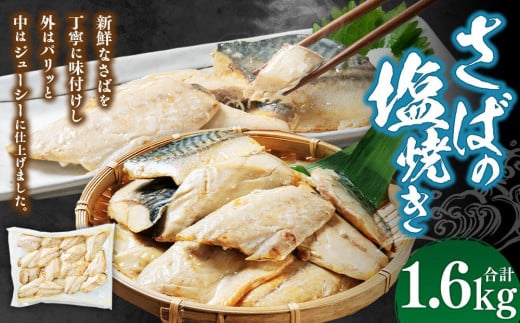 さばの塩焼き 合計1.6kg北海道小樽市20000魚介・海産物その他 魚介・海産物