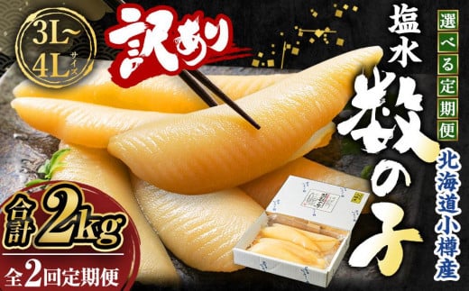 【2回定期便】【訳あり】 塩水 数の子 北海道小樽産 1kg(500g×2P) かずのこ 4Lサイズ 魚卵 お節 おせち北海道小樽市48000魚介・海産物明太子・その他魚卵