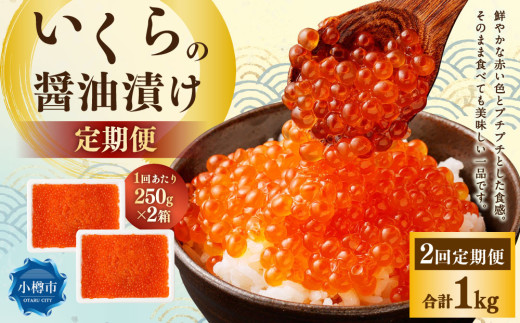 【2回定期便】いくらの醤油漬け 500g(250g×2) いくら イクラ 醤油漬け 冷凍 北海道 小樽市北海道小樽市48000魚介・海産物いくら