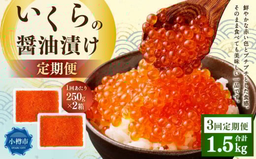 【3回定期便】いくらの醤油漬け 500g(250g×2) いくら イクラ 醤油漬け 冷凍 北海道 小樽市北海道小樽市72000魚介・海産物いくら