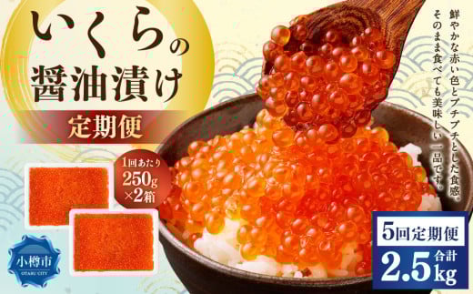 【5回定期便】いくらの醤油漬け 500g(250g×2) いくら イクラ 醤油漬け 冷凍 北海道 小樽市北海道小樽市120000魚介・海産物いくら