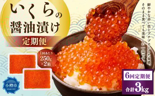 【6回定期便】いくらの醤油漬け 500g(250g×2) いくら イクラ 醤油漬け 冷凍 北海道 小樽市北海道小樽市144000魚介・海産物いくら