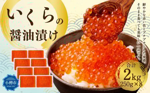 ̏ݖЂ 2kgi250g×8j  CN ݖЂ Ⓚ kC MskCMs96000ECY