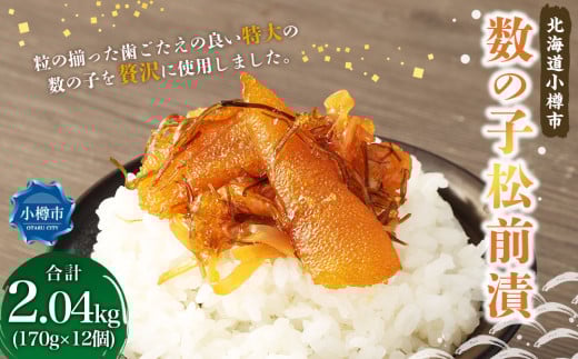 ̎q O v2.04kg i170g×12j OЂ  CN C̍K  kC Ms Ⓚ kCMs36000ECYqȆ
