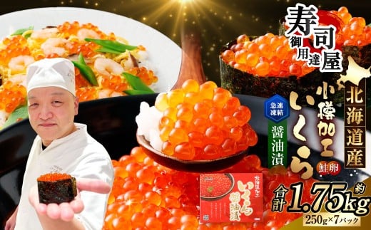 北海道加工 いくら醤油漬 計約1.75kg (約250g×7パック) いくら醤油漬け いくら イクラ 醤油漬 醤油漬け 冷凍北海道小樽市91000魚介・海産物いくら