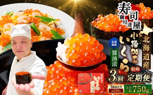 【3回定期便】 北海道加工 いくら醤油漬 約250g(1パック)×3回 計約750g いくら醤油漬け いくら イクラ 醤油漬 醤油漬け 冷凍北海道小樽市39000魚介・海産物いくら