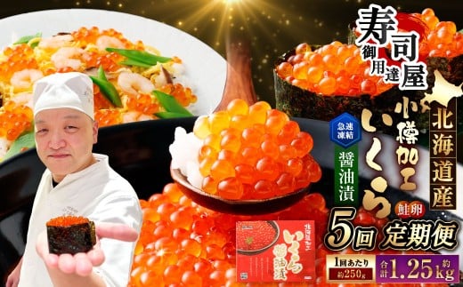 【5回定期便】 北海道加工 いくら醤油漬 約250g(1パック)×5回 計約1.25kg いくら醤油漬け いくら イクラ 醤油漬 醤油漬け 冷凍北海道小樽市65000魚介・海産物いくら