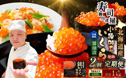 【2回定期便】 北海道加工 いくら醤油漬 約500g(約250g×2パック)×2回 計約1kg いくら醤油漬け いくら イクラ 醤油漬 醤油漬け 冷凍北海道小樽市48000魚介・海産物いくら