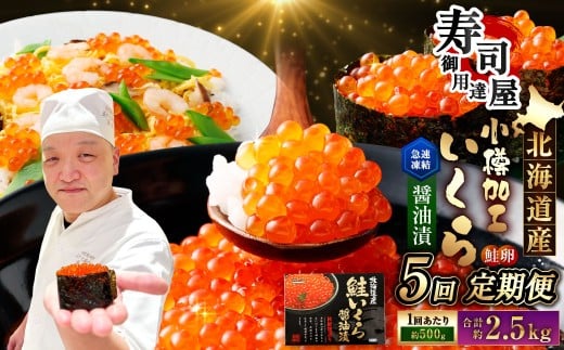 【5回定期便】 北海道加工 いくら醤油漬 約500g(約250g×2パック)×5回 計約2.5kg いくら醤油漬け いくら イクラ 醤油漬 醤油漬け 冷凍北海道小樽市120000魚介・海産物いくら