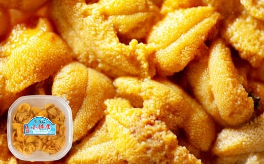  400g  Ej L^TLEj pbN  Y CY CN zCĂ  pX^ ɓ ɂ hg Ej CN 芪i C̍K kC Msy2026