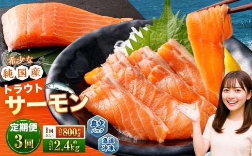 y3ցz Y gEgT[ v2.4kg i200g×4pbNj×3 T[ VN  ^pbN } {B ⓀkCMs33000ECYN