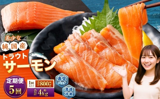 【5回定期便】 国産 トラウトサーモン 計約4kg (約200g×4パック)×5回 サーモン 新鮮 小分け 真空パック 急速凍結 国内養殖 冷凍北海道小樽市55000魚介・海産物鮮魚