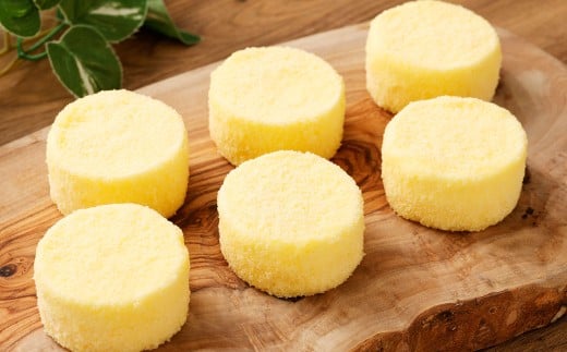 【2回定期便】 北海道ミニフロマージュ (プレーン) 約900g×2回 合計約1.8kg ミニフロマージュ フロマージュ チーズケーキ ケーキ スイーツ 洋菓子 冷凍 北海道 小樽市北海道小樽市20000菓子