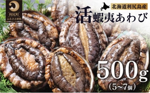 y10`12tzVRڈ΁wxAr500g@KYyԌzKzHׂĈ [1060002]kCK20000ECYL