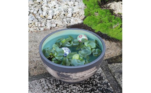 信楽焼 11号はけ目水鉢 メダカ鉢 金魚鉢滋賀県22000衣類・装飾品・工芸品その他 装飾品・工芸品