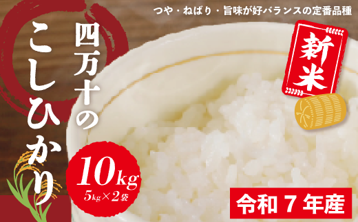 米 10kg 【 新米 令和7年産 】 四万十 の こしひかり 5kg ×2袋 国産 1等米 予約 コシヒカリ 精米 お米 白米 ごはん ご飯 おいしい ふっくら もちもち 高知県 高知 四万十市 しまんと 土佐【2025年9