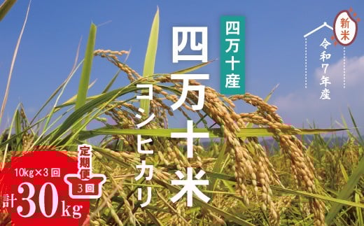 令和7年産 3回 定期便 四万十産 四万十米 コシヒカリ 10kg (5kg×2袋)×3回(計30kg) 国産 こしひかり コシヒカリ 30kg 2025年 精米 白米 米 おこめ こめ コメ ご飯 ごはん ふっくら もちもち 四国