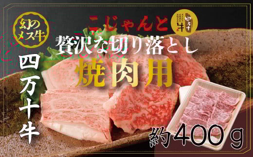 R5-530.幻のメス牛 四万十牛こじゃんと贅沢な切り落とし(焼肉用・400g)高知県四万十市18000肉牛肉