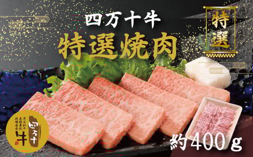 R5-001.幻のメス牛 四万十牛特選焼肉(約400g)高知県四万十市24000肉牛肉