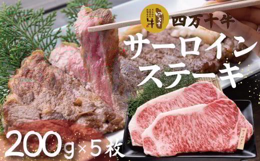 R5-022.幻のメス牛 四万十牛サーロインステーキ1kg(200g×5枚)高知県四万十市60000肉牛肉