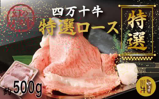 R5-974.幻のメス牛 四万十牛特選ローススライス(すき焼き・しゃぶしゃぶ用)約500g高知県四万十市24000肉牛肉
