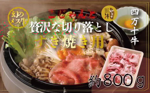 R5-018.幻のメス牛 四万十牛こじゃんと贅沢な切り落とし(すき焼き・800g)高知県四万十市36000肉牛肉