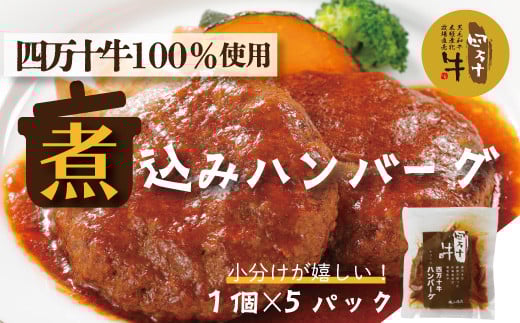 R5-400.幻のメス牛 四万十牛100%使用ジューシーな煮込みハンバーグ5個高知県四万十市18000肉牛肉