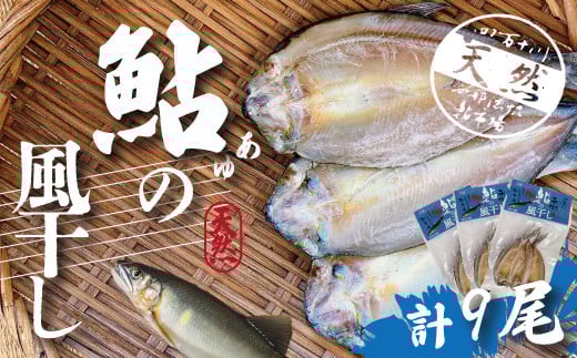 R5-489.四万十川天然鮎の風干し(干物)3尾入×3パック(合計9尾)高知県四万十市12000魚介・海産物鮮魚