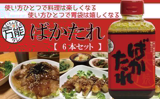 R5-689.完全手作り!いろんな料理に使える万能な秘伝のたれ「ばかたれ」6本セット高知県四万十市18000調味料・油その他 調味料・油