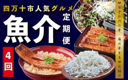 R6-411.【4ヵ月連続定期便】四万十市人気魚介返礼品を集めた定期便高知県四万十市64000魚介・海産物鮮魚