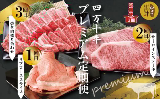 R6-982.【3回定期便】幻の四万十牛 四万十産黒毛和牛を堪能 プレミアム定期便高知県四万十市70000肉牛肉