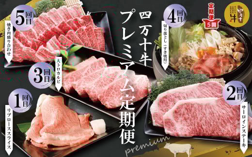 R6-983.【5回定期便】幻の四万十牛 四万十産黒毛和牛を堪能 プレミアム定期便高知県四万十市120000肉牛肉