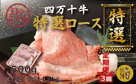 R6-728.【3回定期便】幻のメス牛 四万十牛特選ローススライス(すき焼き・しゃぶしゃぶ用)約500g×3回(合計1.5kg)高知県四万十市72000肉牛肉