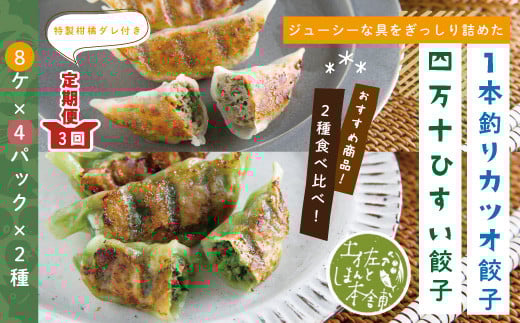 R6-1027.【3回定期便】家(うち)に来る“高知” ジューシーな具をぎっしり詰めた手づくり!! 四万十ひすい餃子・一本釣りかつお餃子(8ヶ×4パック×2種)・たれ付き にんにく不使用!高知