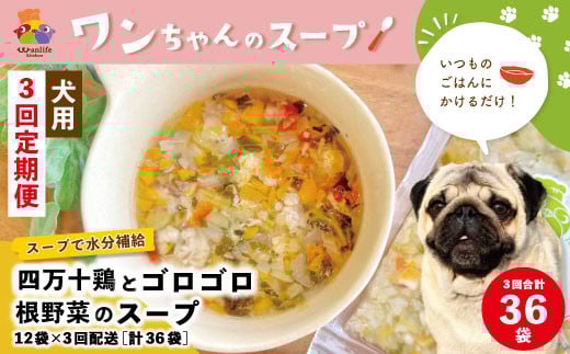R6-433.【3回定期便】いつものごはんにかけるだけ!四万十鶏とゴロゴロ根野菜のスープ 12袋セット×3回配送(合計36袋)【ペットフード】高知県四万十市29000鍋セット・総菜・加工食品その