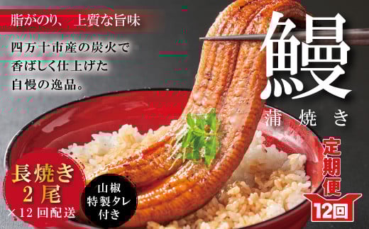 R6-1061.【12回定期便】お楽しみ企画 12ヵ月連続<四万十食品>うなぎ蒲焼 長焼2尾/BC高知県四万十市240000魚介・海産物うなぎ