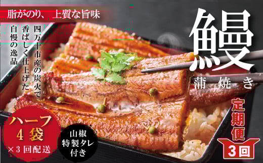 R6-632.【3回定期便】<四万十食品>うなぎ蒲焼 ハーフ4袋/BC【連続3回お届け】高知県四万十市60000魚介・海産物うなぎ
