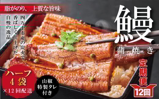 R6-1058.【12回定期便】お楽しみ企画 12ヵ月連続<四万十食品>うなぎ蒲焼 ハーフ4袋/BC高知県四万十市240000魚介・海産物うなぎ