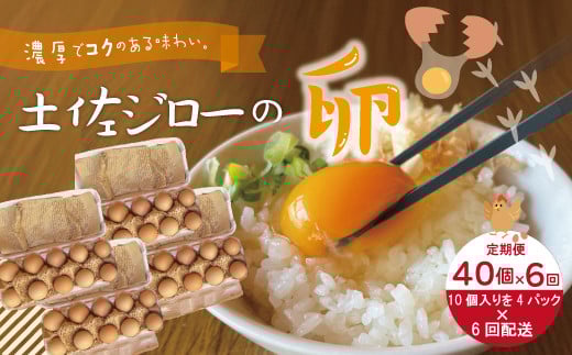 【定期便6回】濃厚でコクのある味わい!のびのび育った土佐ジローの自然卵40個(10個入り×4パック)【合計240個】卵 玉子 たまご 鶏卵 土佐ジローの卵 土佐ジロー 自然卵 新鮮 旨味 濃厚 コ