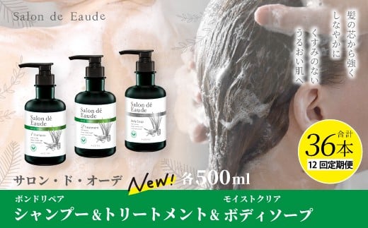 12  TEhEI[f {hyA Vv[  g[gg  CXgNA {fB\[v e 500ml 3{ Zbg v 36{ {g t ACX e ei ϕi