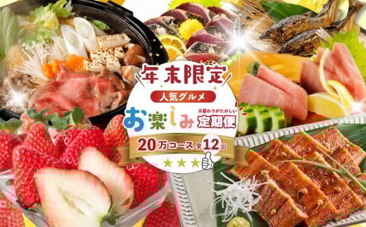 【年末限定】 12回 定期便 四万十 人気 グルメ お楽しみ定期便 しまんと ふるさと 20万円 今だけ 年末 限定 肉 いちご うなぎ 牛肉 パン まぐろ マグロ かつお フルーツ 人気グルメ ごちそう