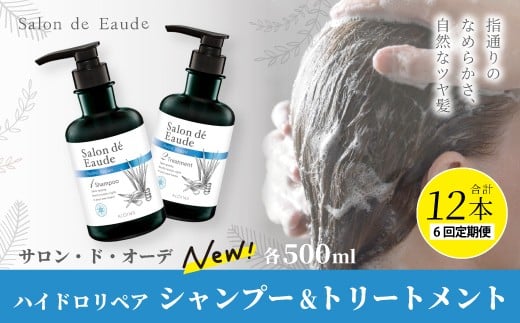 6回 定期便 サロン・ド・オーデ ハイドロリペア シャンプー & トリートメント 各 500ml 2本 セット 合計 12本 ダメージ補修 ボトル 液体 アロインス製薬 美容 美容品 化粧品 日用品 消耗品 高