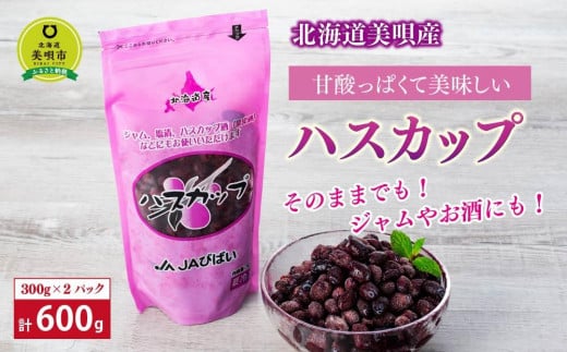 北海道美唄産ハスカップ(600g)北海道美唄市12000果物・フルーツその他 果物・フルーツ