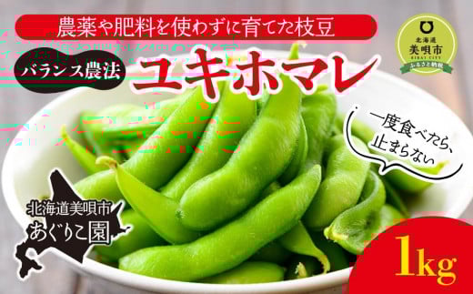 ys\zߘaWNYyoX_@z_엿g킸ɈĂ}@Lz} 1kgi2026N8{\jkCSs12000؁Ê