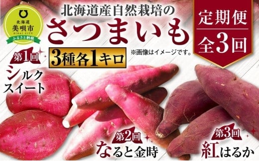 kCYR͔|̂܂RePLyVNXC[gzEyȂƋzEyg͂邩zkCSs11000؁ÊႪEC