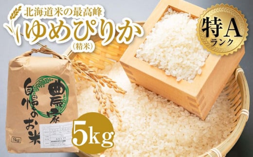 ߂҂肩 5kg   ĖkCSs16000āEp