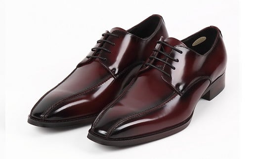 y󑐂̌CzNX`Jm {vrWlXV[Y[TK-488] (TCYF26.0cm@J[FC)s䓌54000ߗށEiEH|iCE